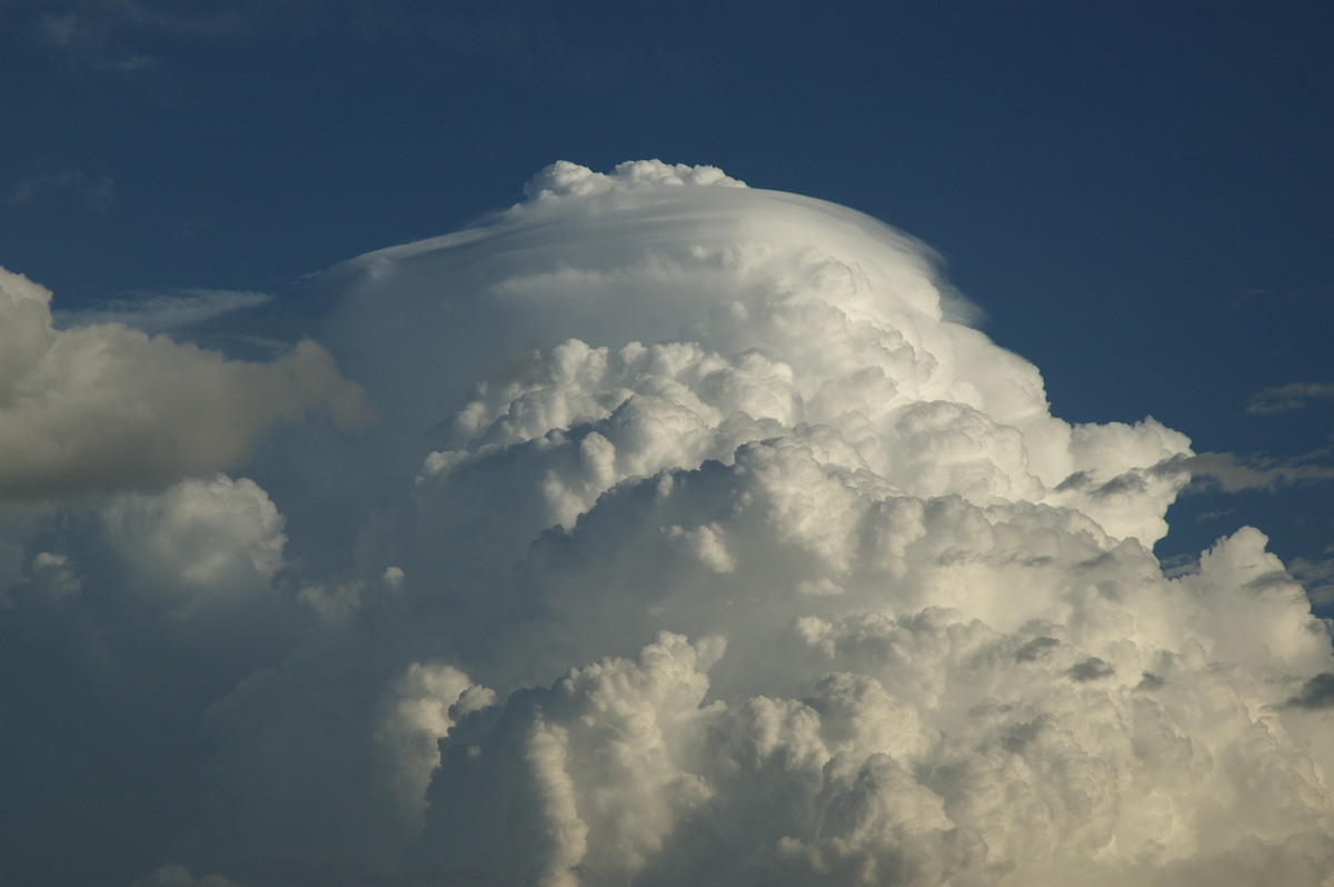 pileus pileus_cap_cloud : near Wardell, NSW   4 November 2007