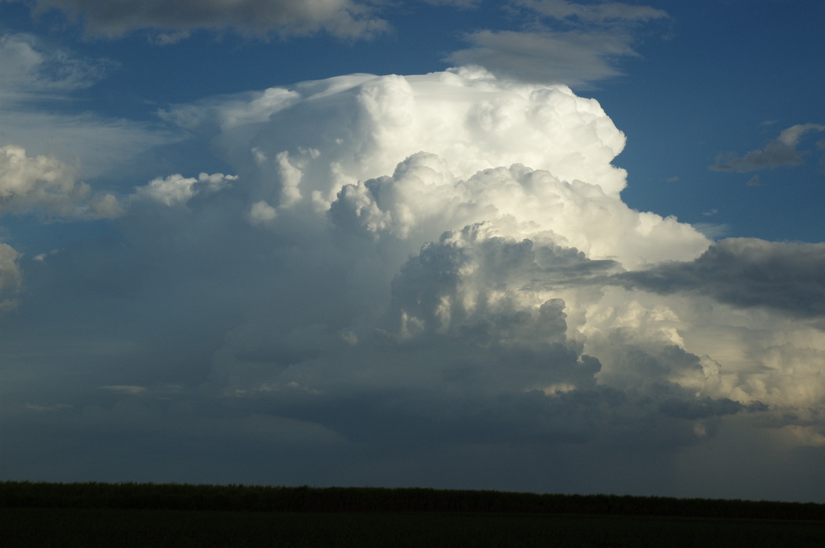 pileus pileus_cap_cloud : near Wardell, NSW   4 November 2007