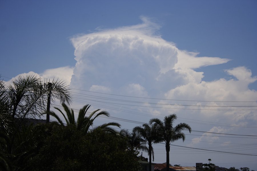 thunderstorm cumulonimbus_incus : Schofields, NSW   15 November 2007