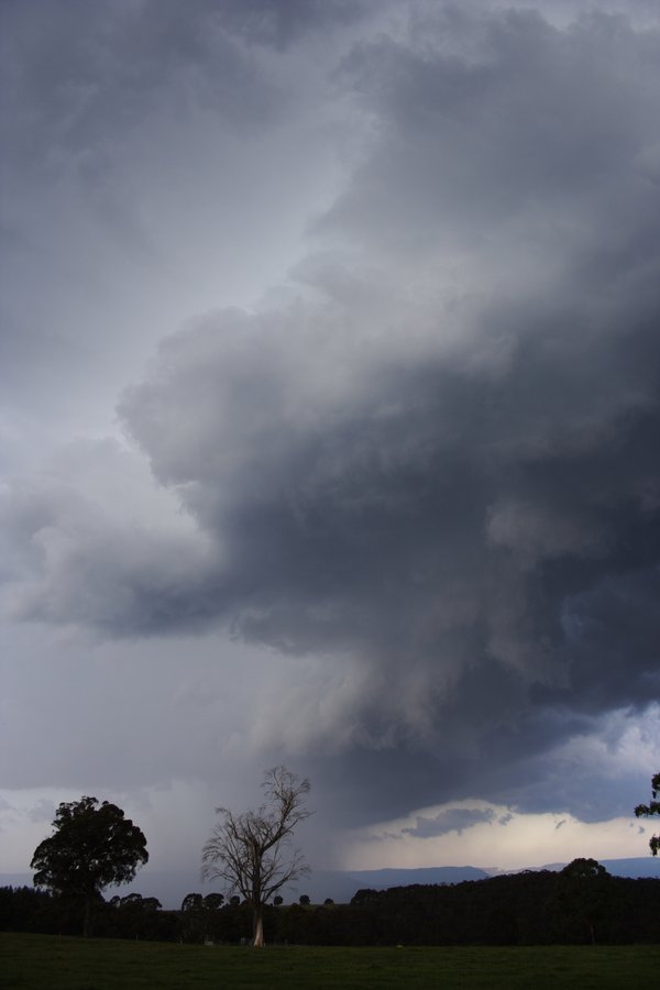 cumulonimbus thunderstorm_base : near Hampton, NSW   16 November 2007