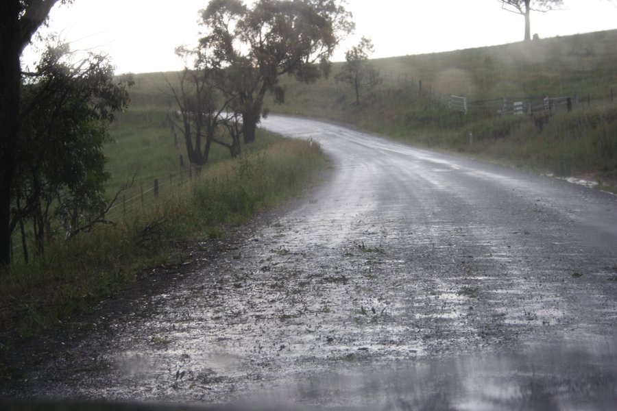 disasters storm_damage : near Hampton, NSW   16 November 2007