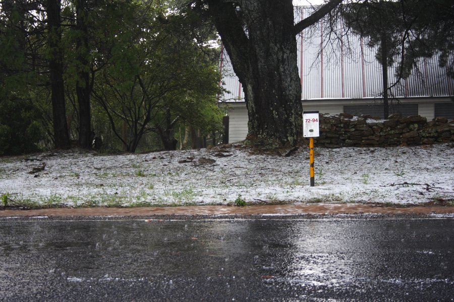 hailstones hail_stones : near Bell, NSW   16 November 2007
