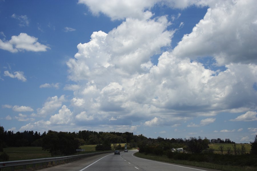 thunderstorm cumulonimbus_calvus : near Moss Vale, NSW   17 November 2007