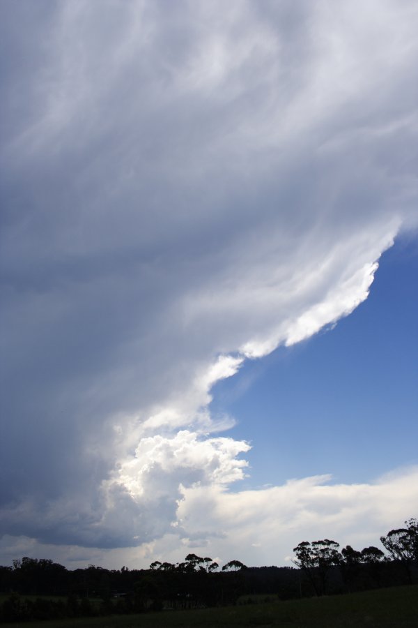 anvil thunderstorm_anvils : near Berrima, NSW   17 November 2007