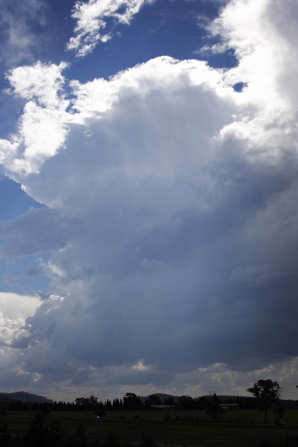 updraft thunderstorm_updrafts : near Mittagong, NSW   17 November 2007