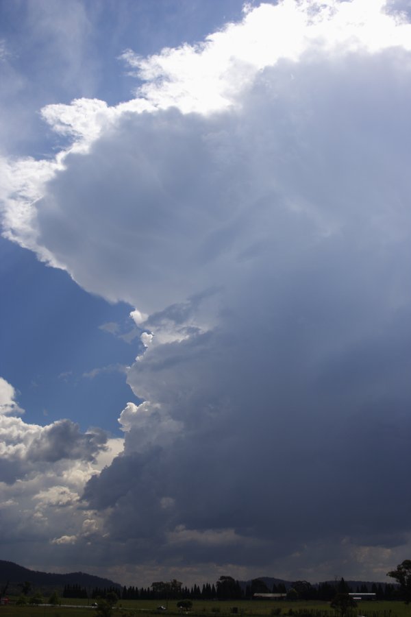 cumulonimbus thunderstorm_base : near Mittagong, NSW   17 November 2007