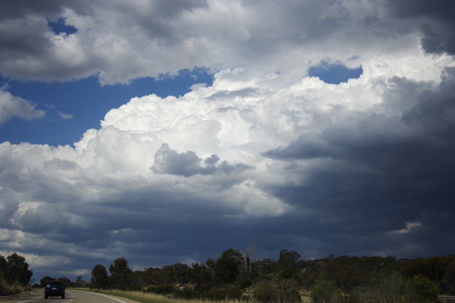cumulus congestus : near Lake George, NSW   18 November 2007
