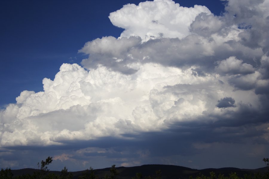 thunderstorm cumulonimbus_calvus : near Lake George, NSW   18 November 2007