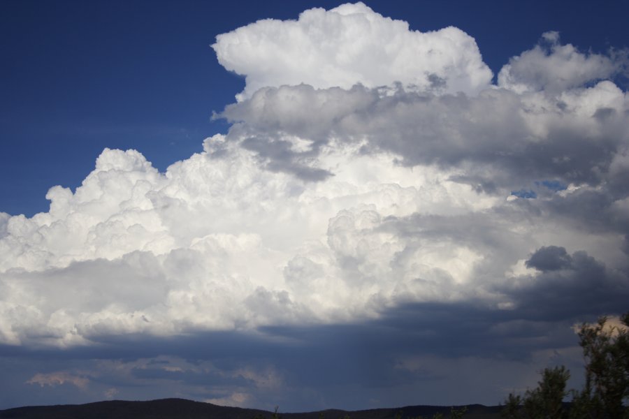 thunderstorm cumulonimbus_calvus : near Lake George, NSW   18 November 2007