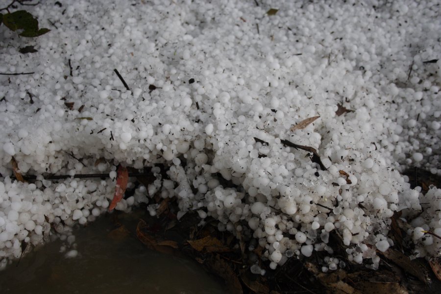 hailstones hail_stones : near Marulan, NSW   18 November 2007