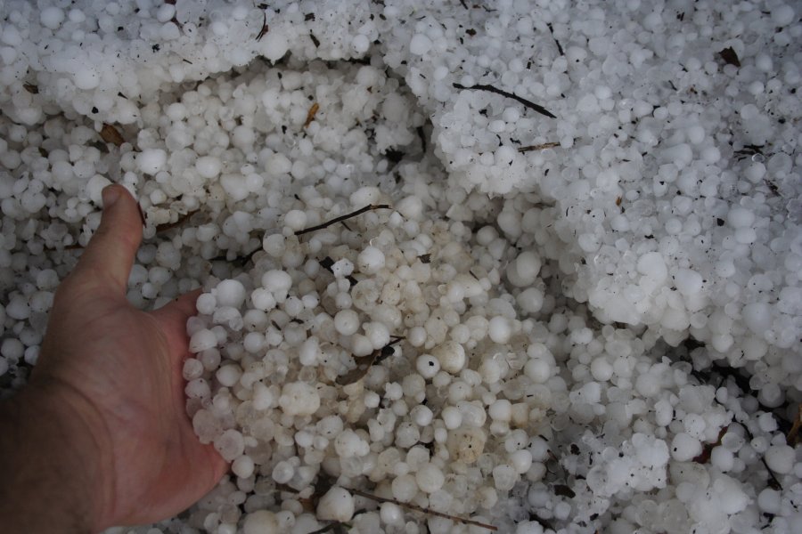 hailstones hail_stones : near Marulan, NSW   18 November 2007