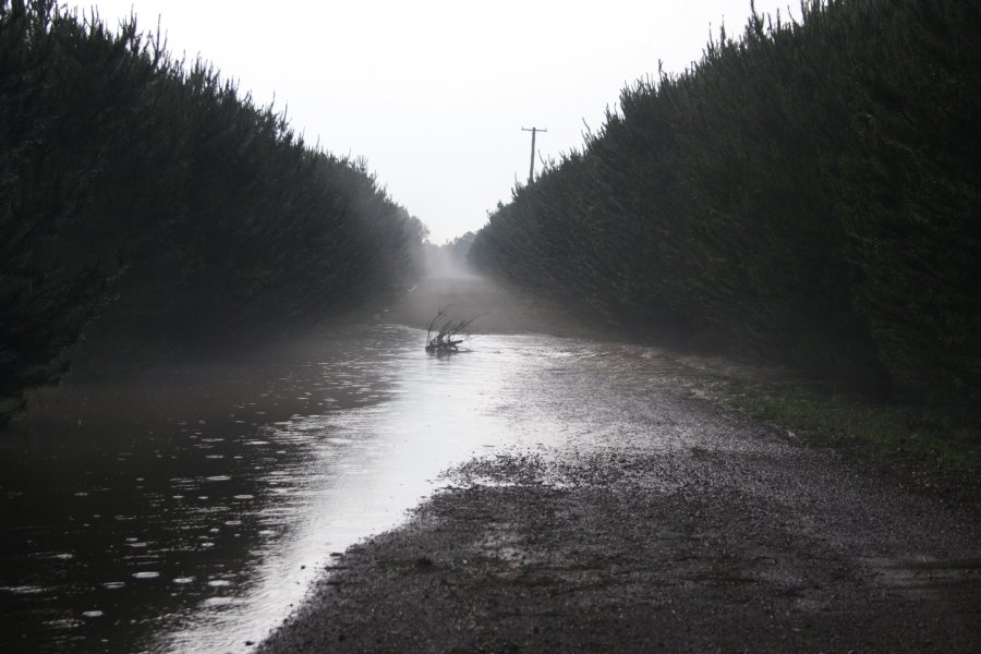 flashflooding flood_pictures : near Marulan, NSW   18 November 2007