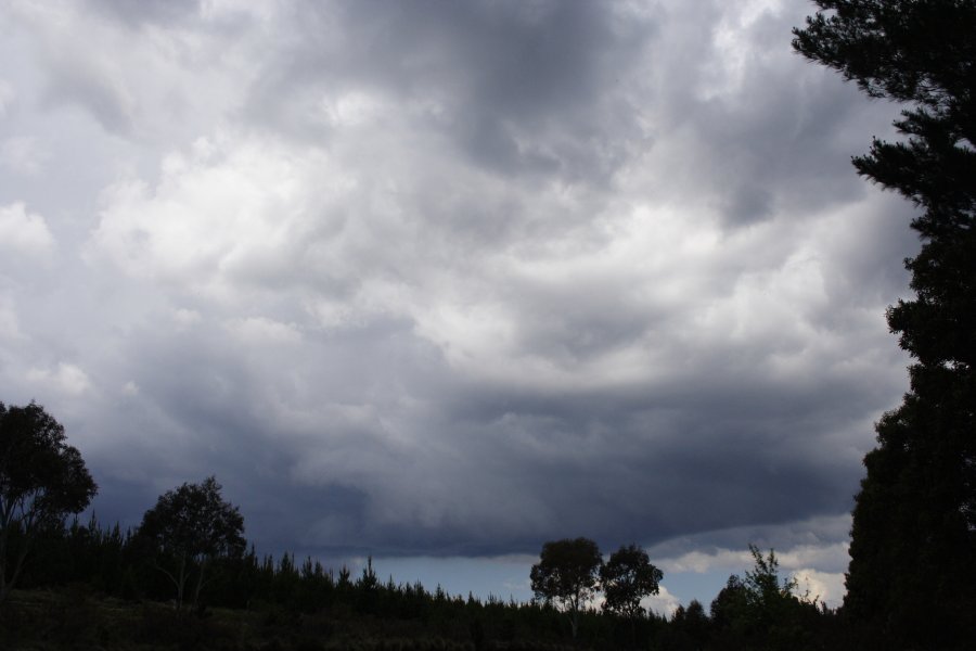 cumulonimbus thunderstorm_base : near Hampton, NSW   19 November 2007