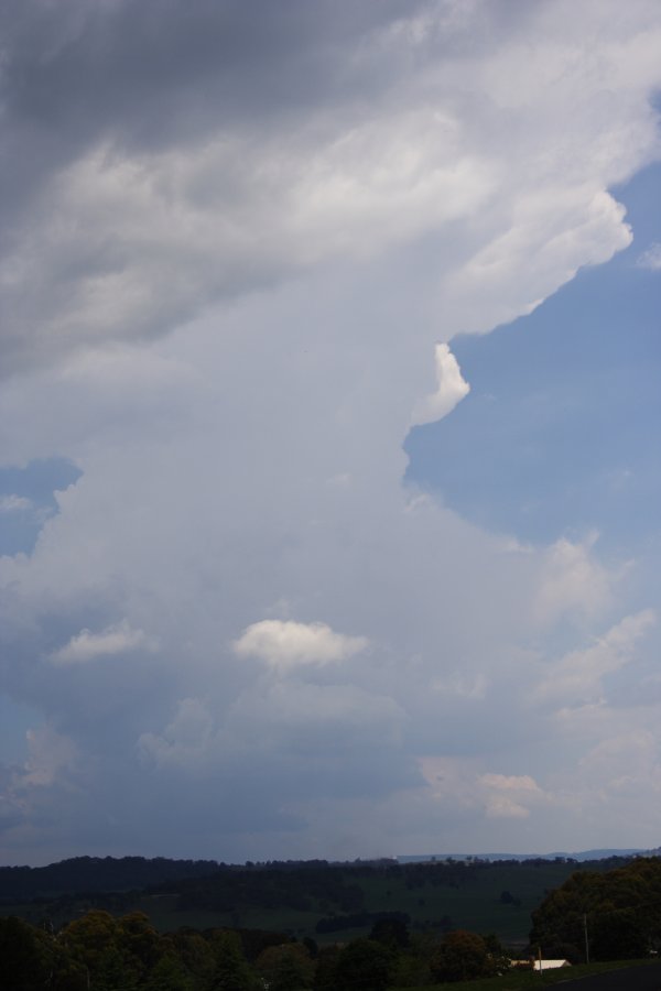 updraft thunderstorm_updrafts : near Oberon, NSW   20 November 2007