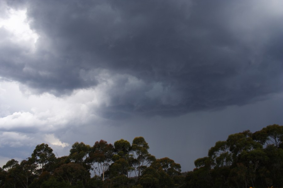 cumulonimbus thunderstorm_base : Medlow Bath, NSW   21 November 2007