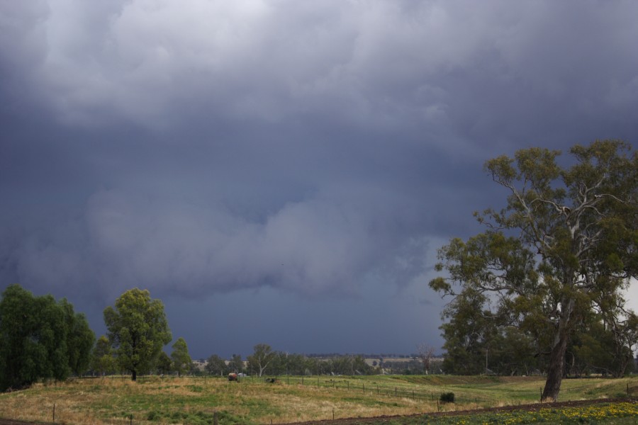 cumulonimbus thunderstorm_base : Tamworth, NSW   22 November 2007