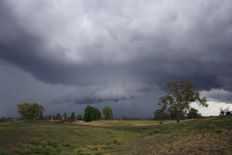 cumulonimbus thunderstorm_base : Tamworth, NSW   22 November 2007