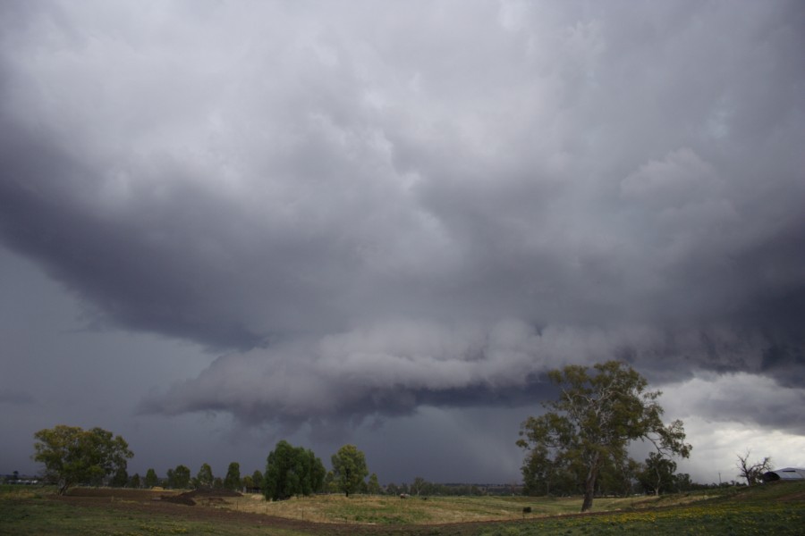 shelfcloud shelf_cloud : Tamworth, NSW   22 November 2007