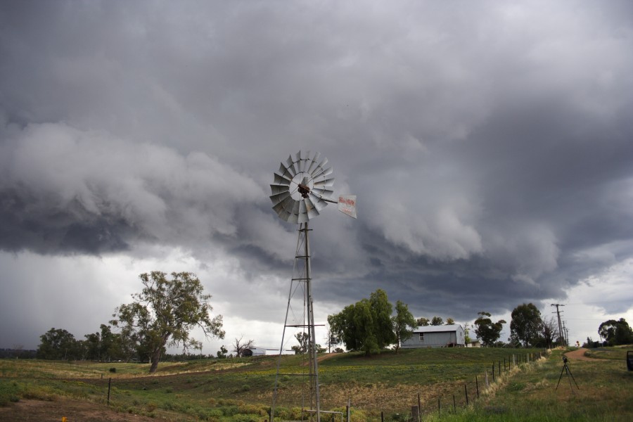 shelfcloud shelf_cloud : Tamworth, NSW   22 November 2007