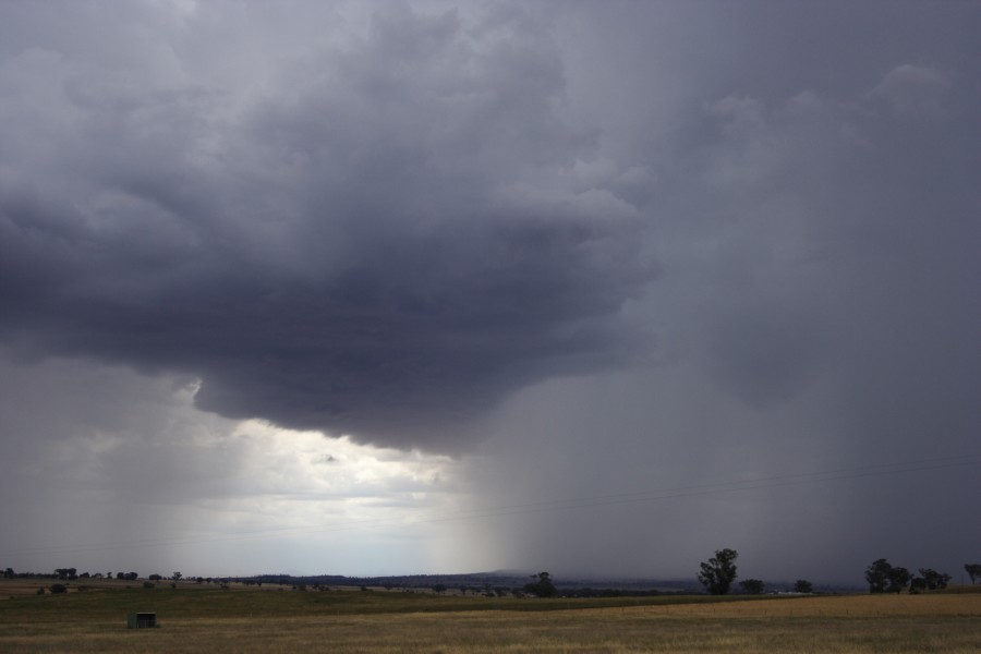 shelfcloud shelf_cloud : Tamworth, NSW   22 November 2007