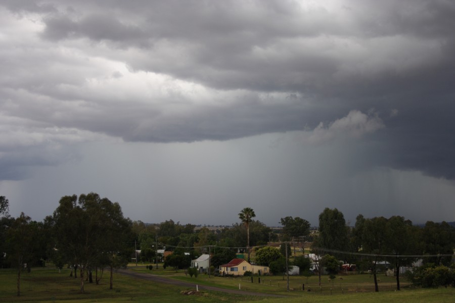 raincascade precipitation_cascade : Manilla, NSW   22 November 2007