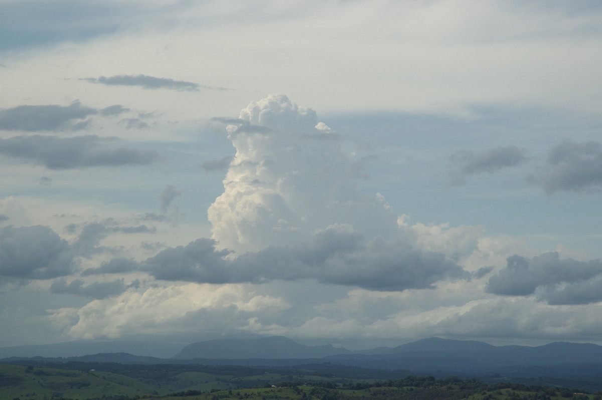 thunderstorm cumulonimbus_calvus : McLeans Ridges, NSW   22 November 2007
