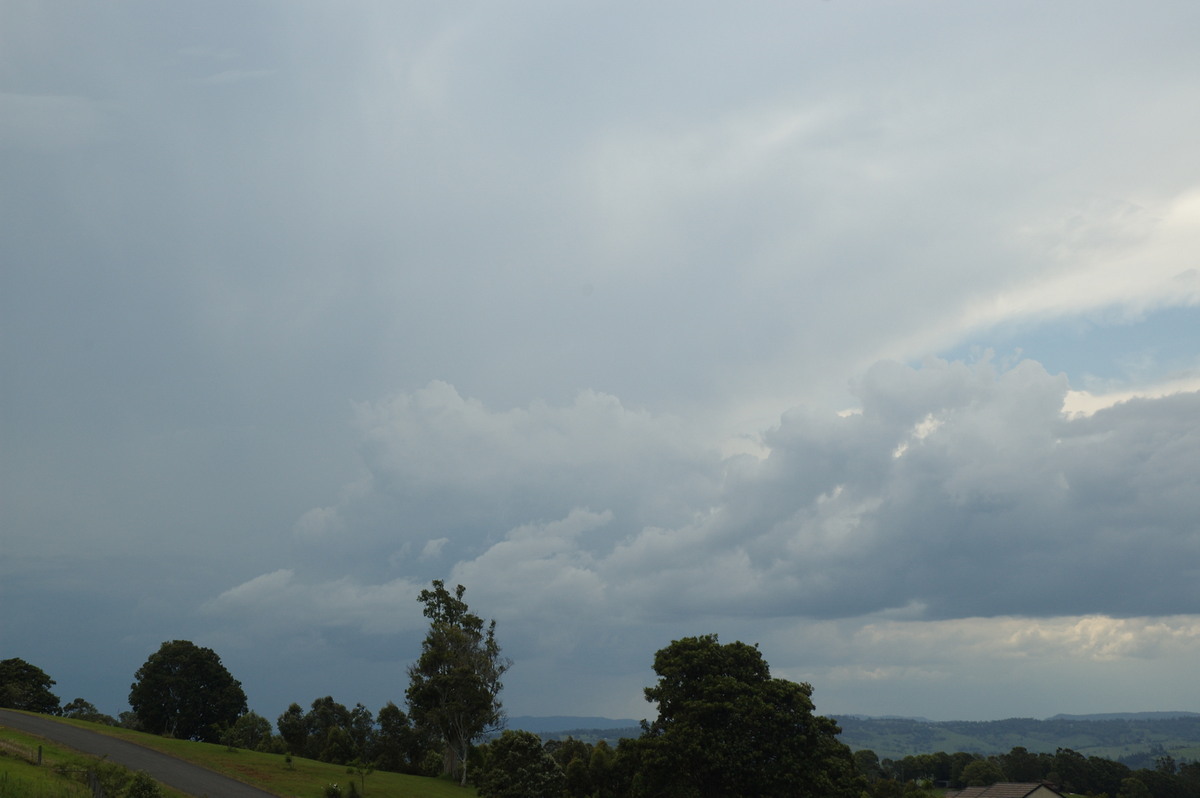 anvil thunderstorm_anvils : McLeans Ridges, NSW   22 November 2007