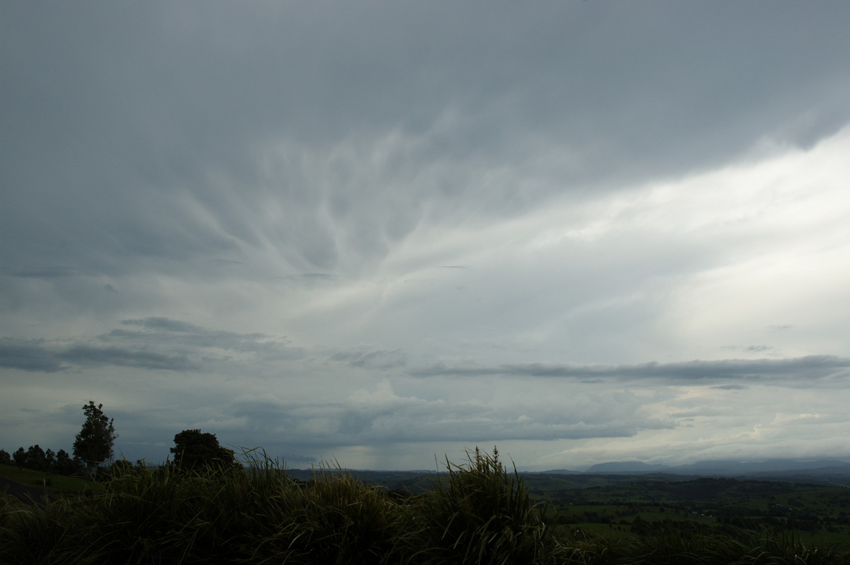 mammatus mammatus_cloud : McLeans Ridges, NSW   22 November 2007