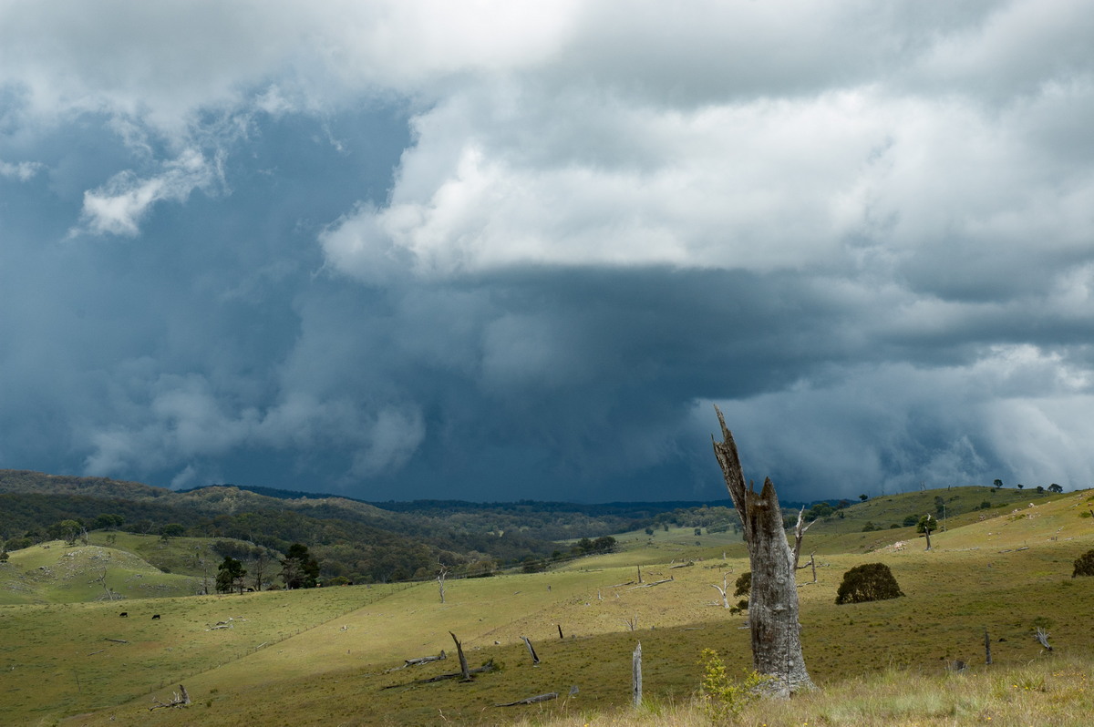 cumulonimbus thunderstorm_base : near Tenterfield, NSW   23 November 2007