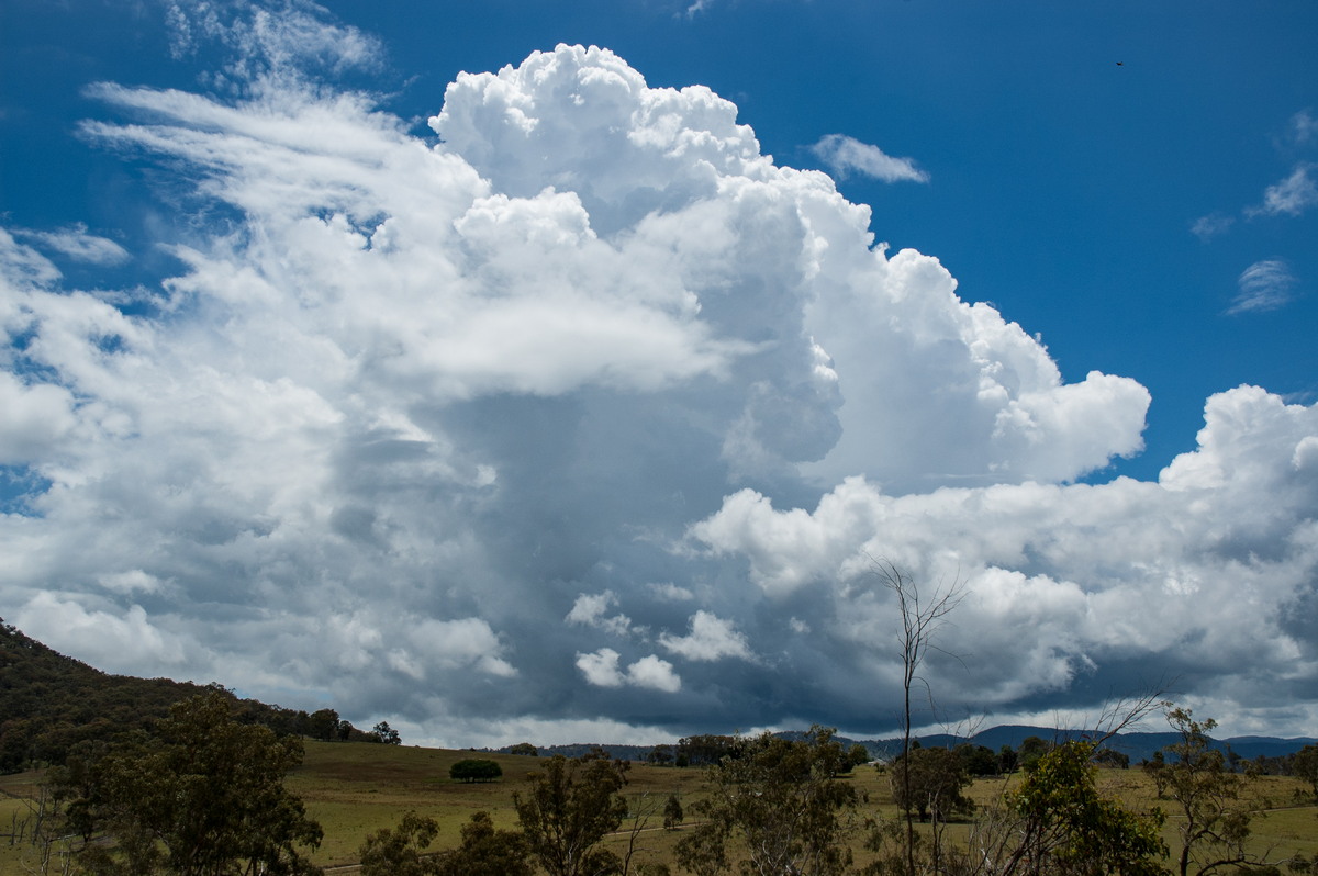 thunderstorm cumulonimbus_calvus : near Tenterfield, NSW   23 November 2007