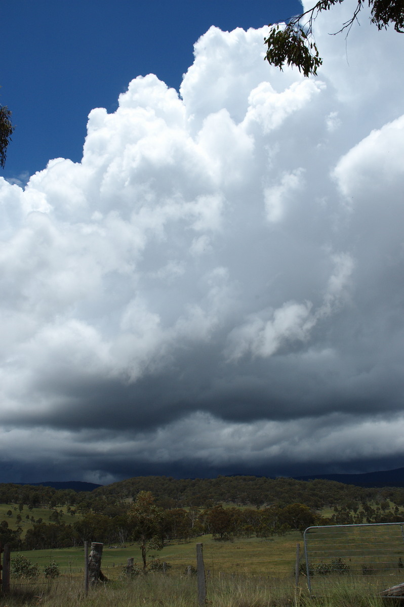 thunderstorm cumulonimbus_calvus : near Tenterfield, NSW   23 November 2007