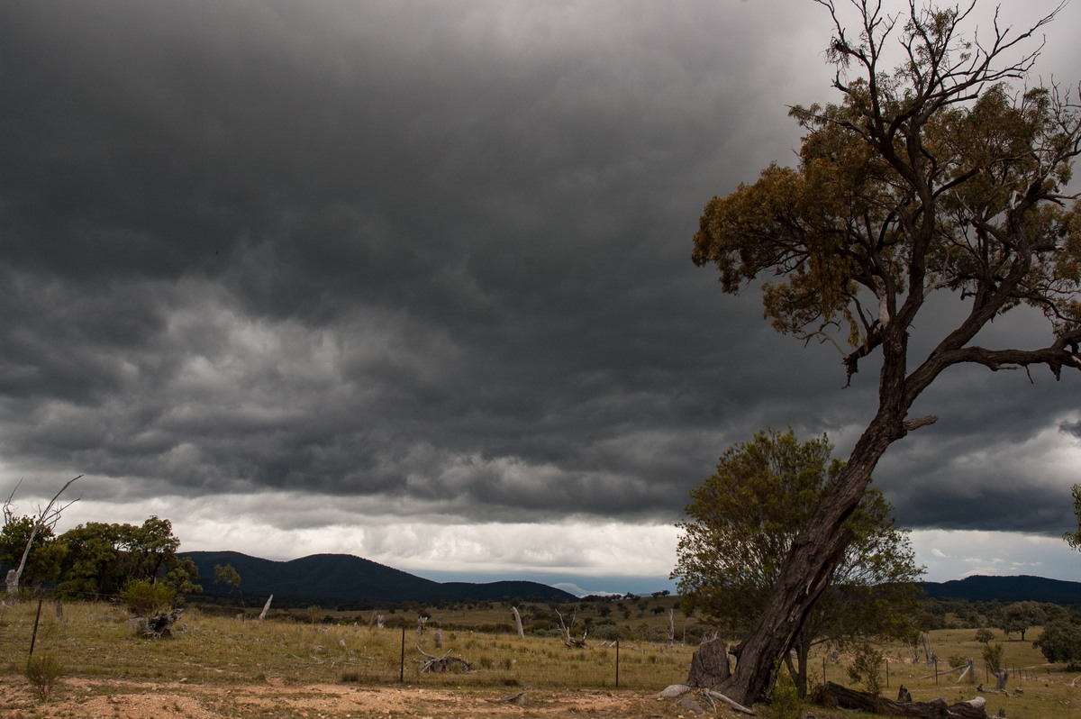 cumulonimbus thunderstorm_base : W of Tenterfield, NSW   23 November 2007