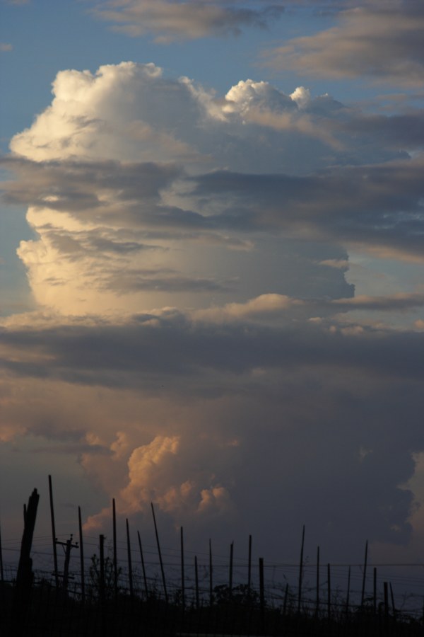 thunderstorm cumulonimbus_incus : Schofields, NSW   28 November 2007