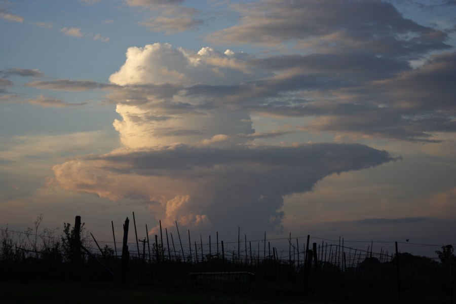 thunderstorm cumulonimbus_incus : Schofields, NSW   28 November 2007