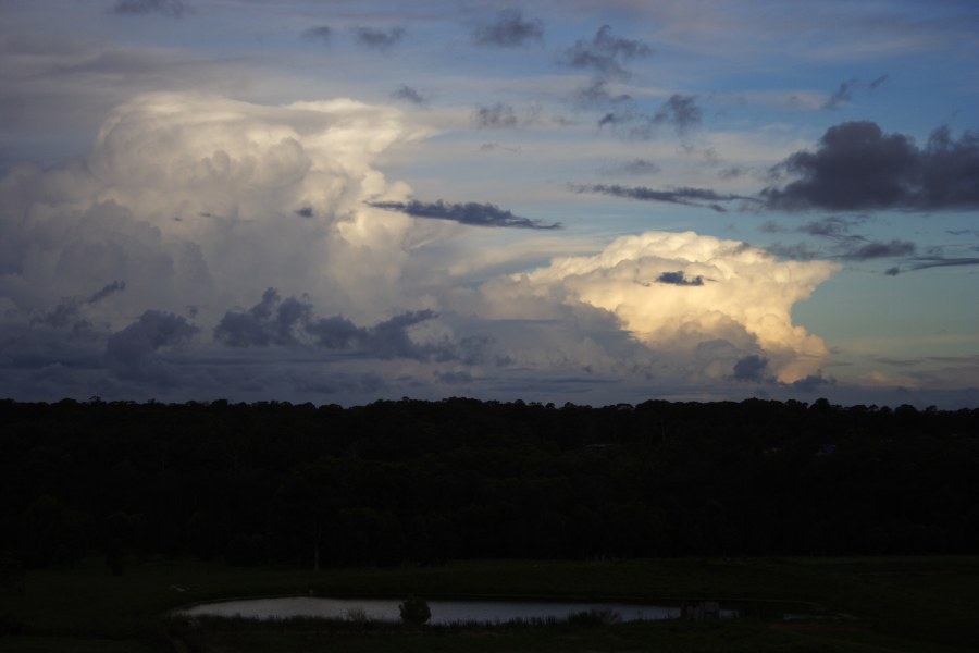 thunderstorm cumulonimbus_calvus : Schofields, NSW   29 November 2007