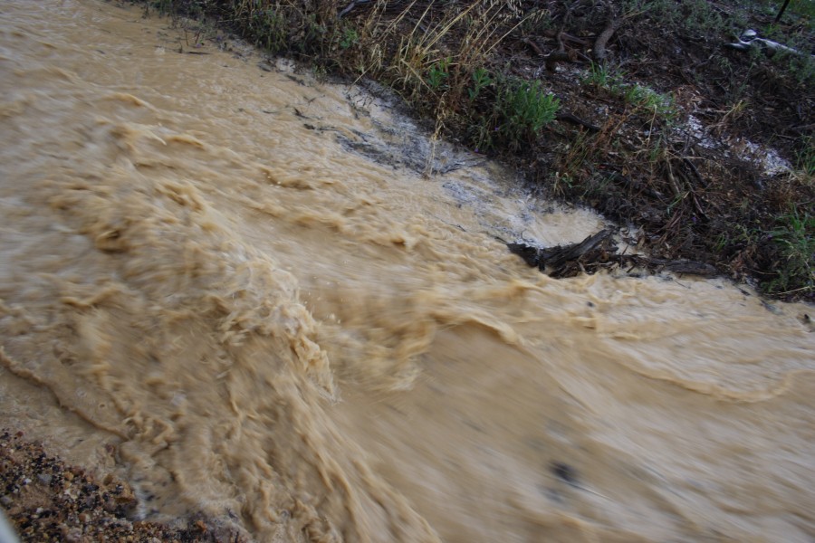 flashflooding flood_pictures : N of Gulgong, NSW   1 December 2007