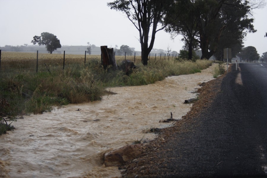 flashflooding flood_pictures : N of Gulgong, NSW   1 December 2007