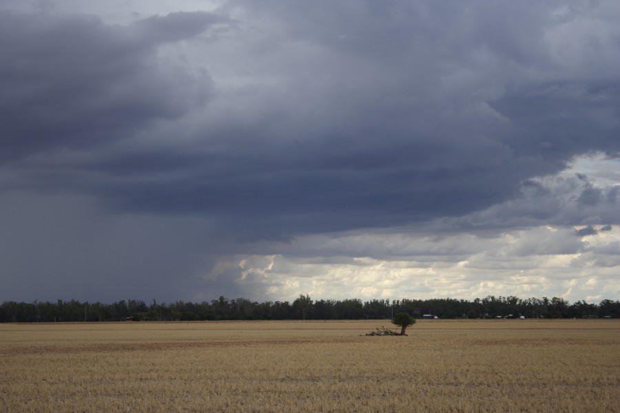 cumulonimbus thunderstorm_base : W of Dubbo, NSW   2 December 2007