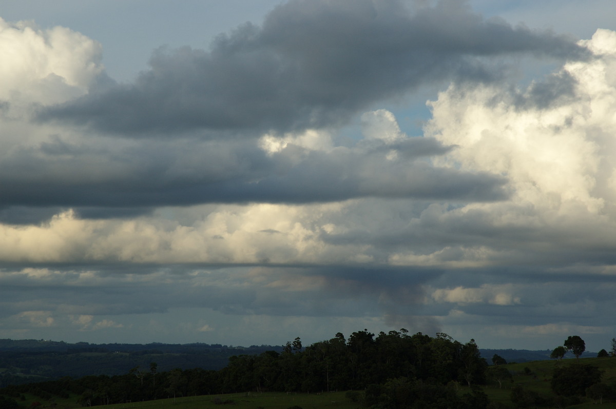 cumulus mediocris : McLeans Ridges, NSW   2 December 2007