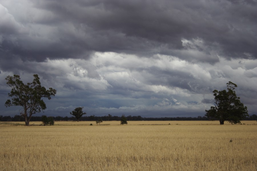 cumulonimbus thunderstorm_base : SW of Narromine, NSW   3 December 2007