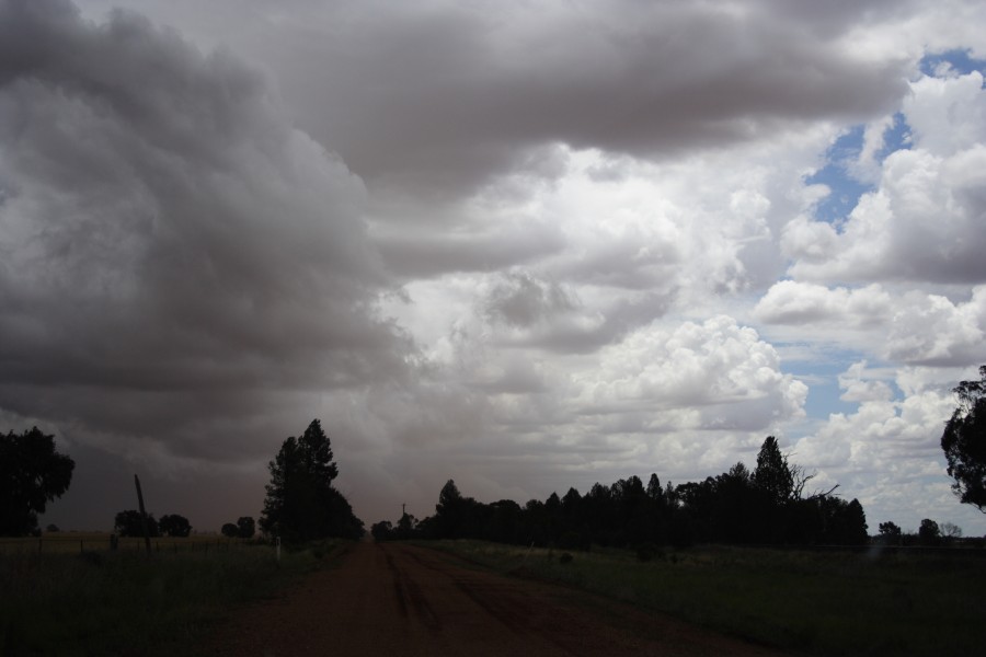 cumulonimbus thunderstorm_base : SW of Narromine, NSW   3 December 2007