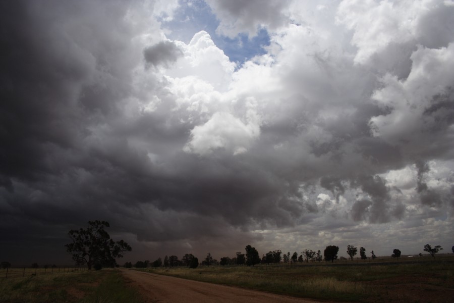 cumulonimbus thunderstorm_base : SW of Narromine, NSW   3 December 2007