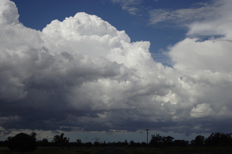 thunderstorm cumulonimbus_calvus : N of Trangie, NSW   3 December 2007