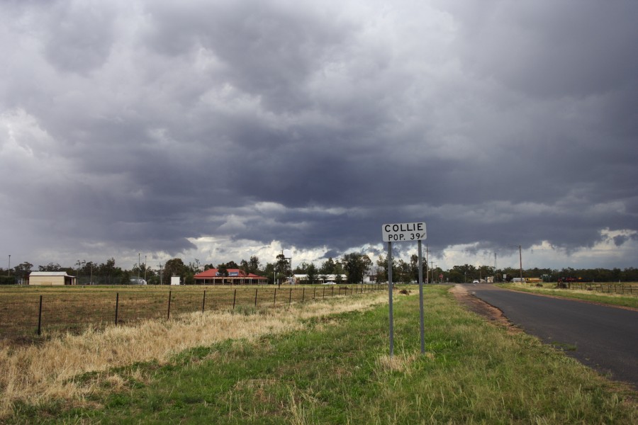 cumulonimbus thunderstorm_base : Collie, NSW   3 December 2007