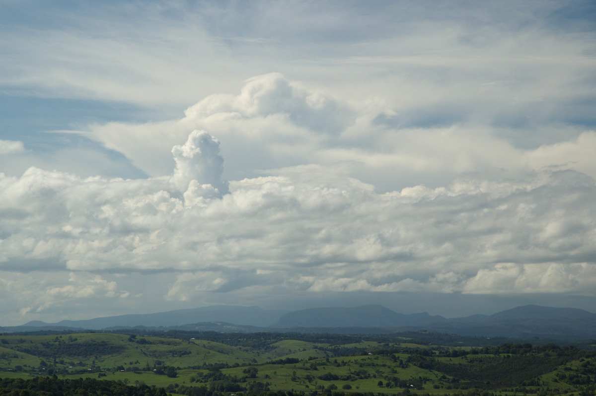 pileus pileus_cap_cloud : McLeans Ridges, NSW   3 December 2007