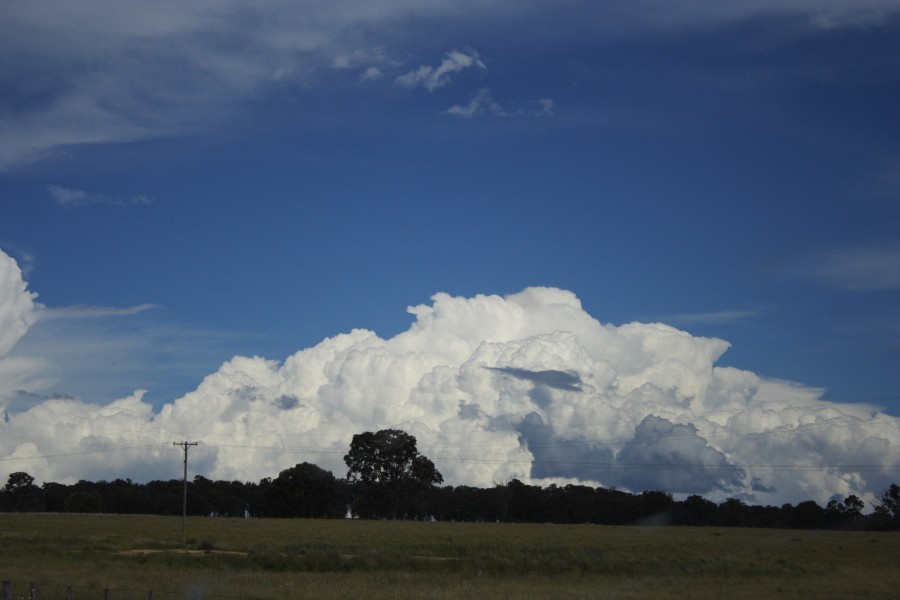 thunderstorm cumulonimbus_incus : W of Ebor, NSW   4 December 2007