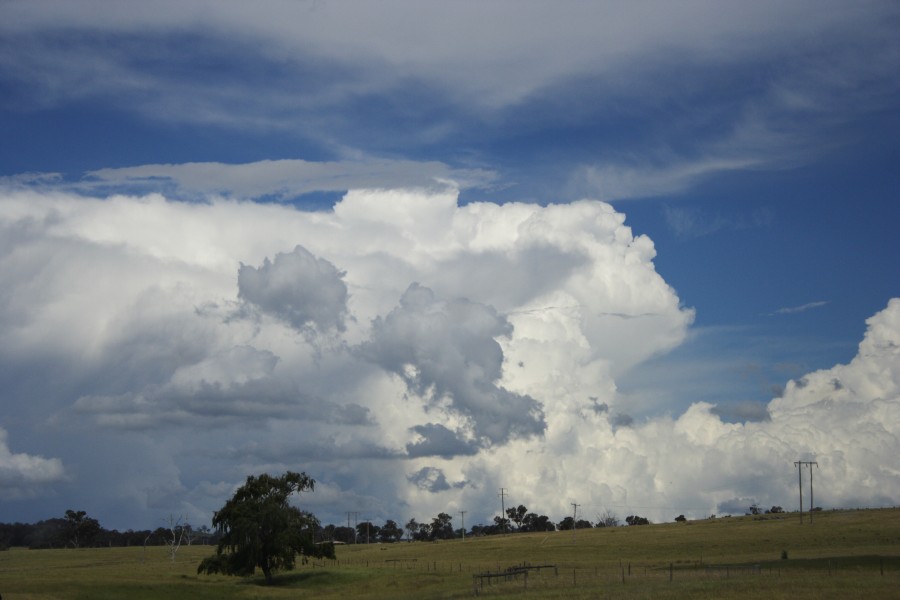 thunderstorm cumulonimbus_incus : W of Ebor, NSW   4 December 2007