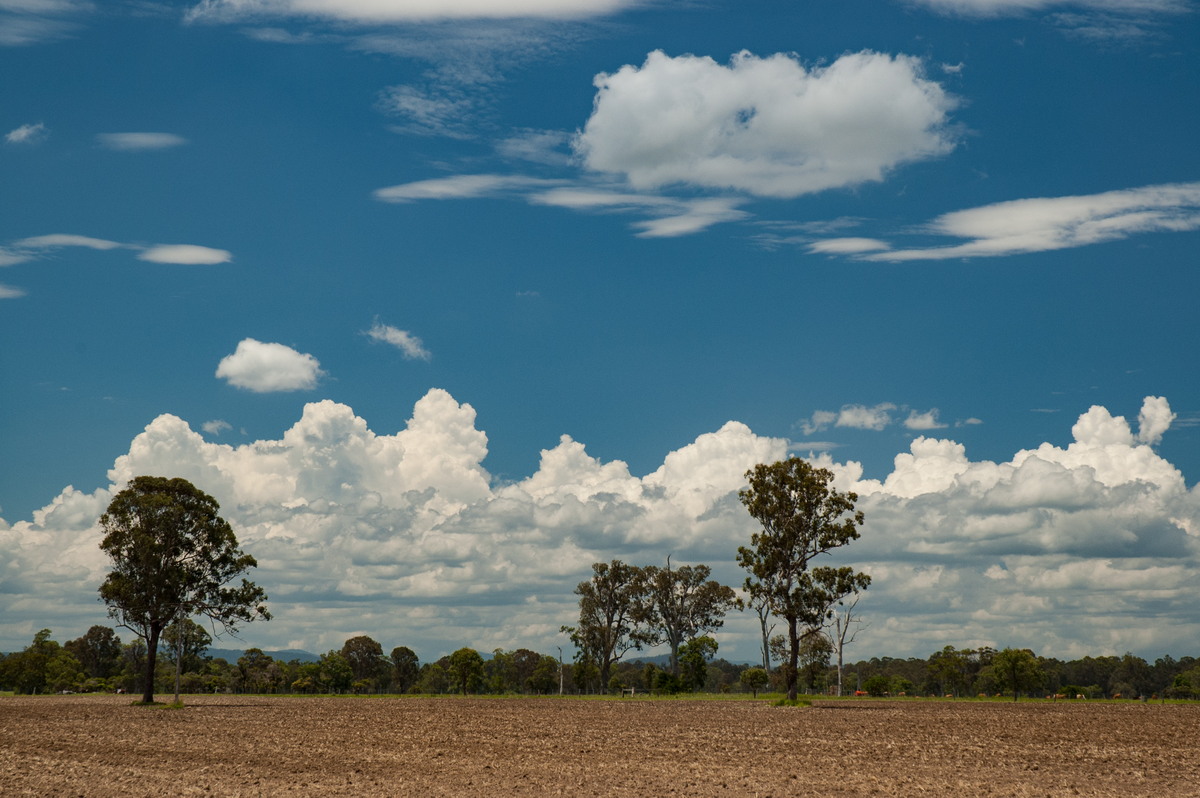 cumulus congestus : Shannon Brook, NSW   4 December 2007