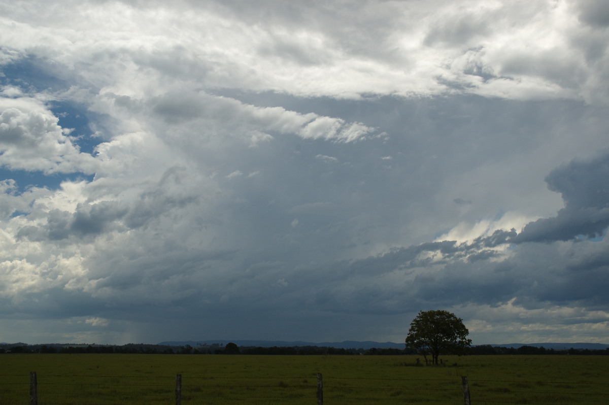 thunderstorm cumulonimbus_incus : N of Casino, NSW   4 December 2007