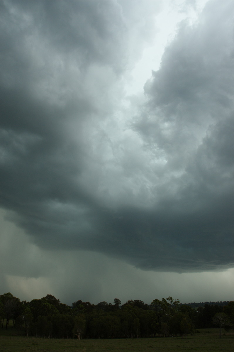 cumulonimbus thunderstorm_base : Koolkhan, NSW   4 December 2007